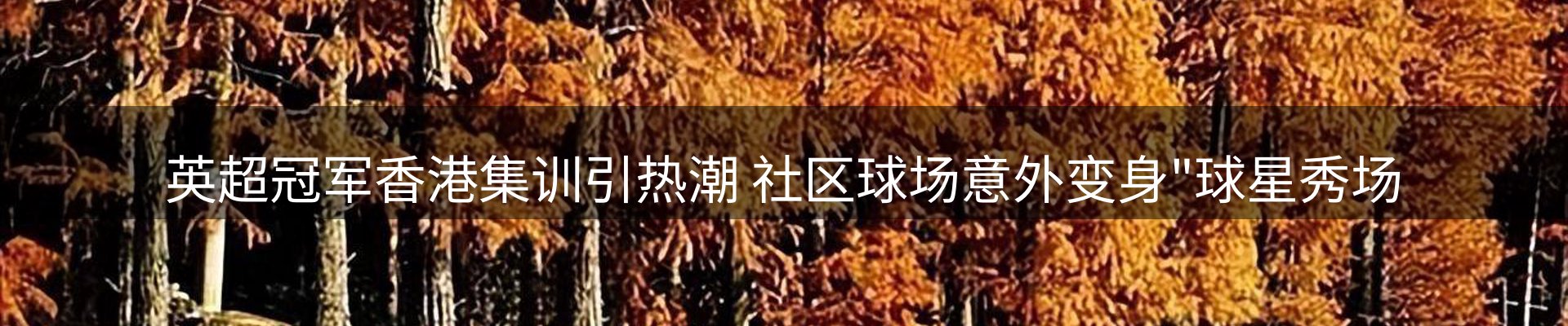 体育资讯